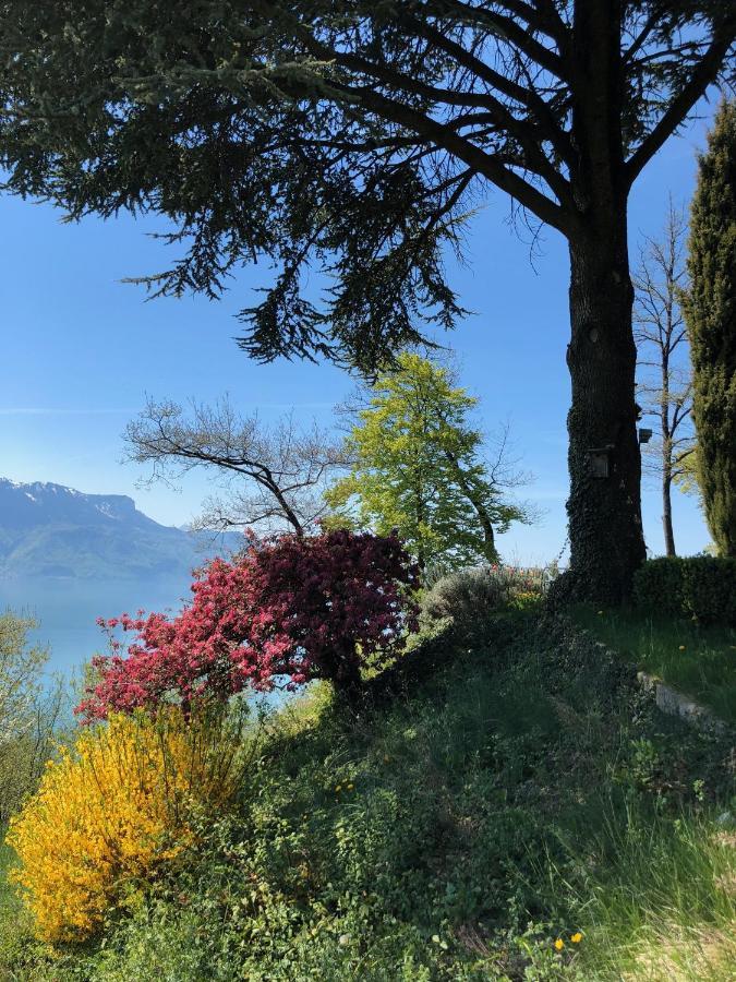 Lovely Villa In Lavaux With Unique View ! Chardonne Zewnętrze zdjęcie