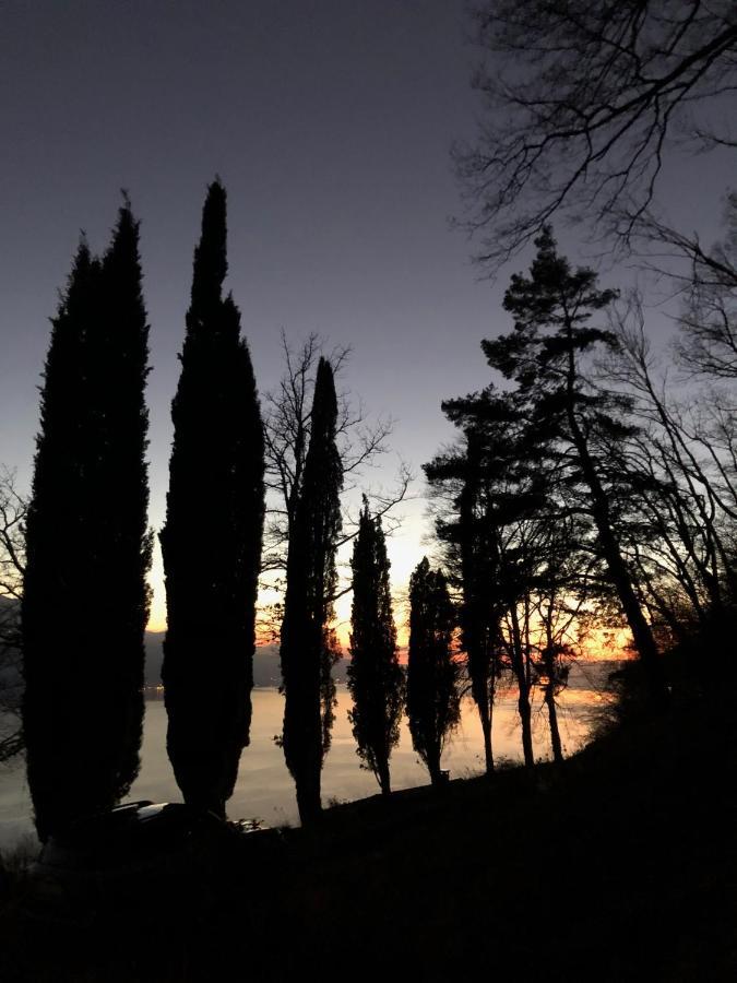 Lovely Villa In Lavaux With Unique View ! Chardonne Zewnętrze zdjęcie