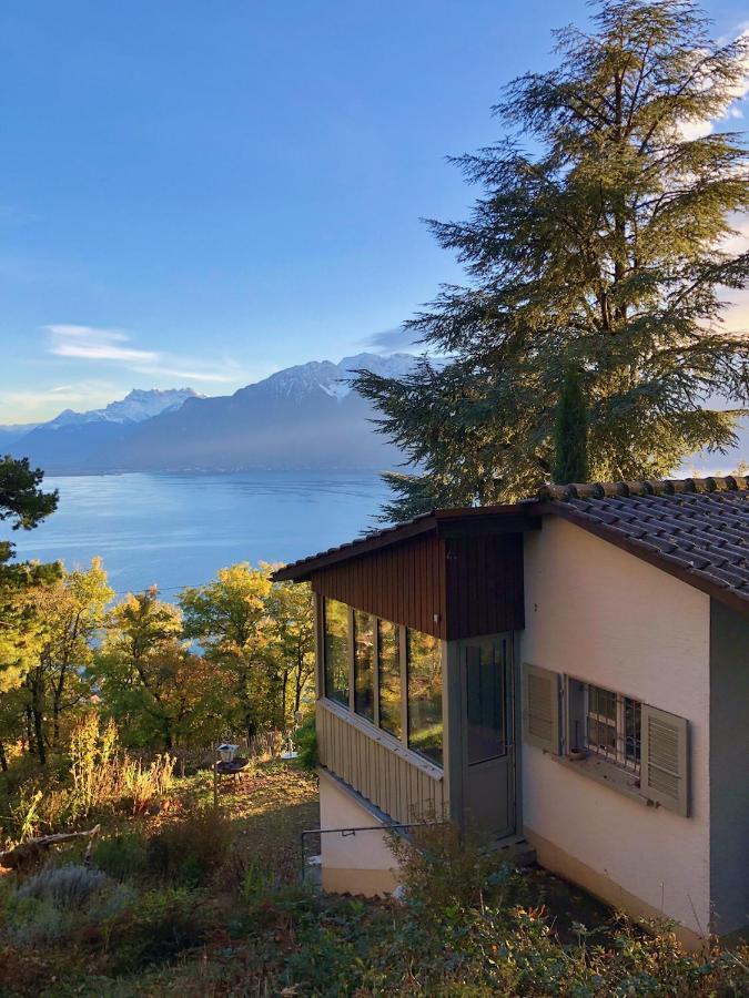 Lovely Villa In Lavaux With Unique View ! Chardonne Zewnętrze zdjęcie