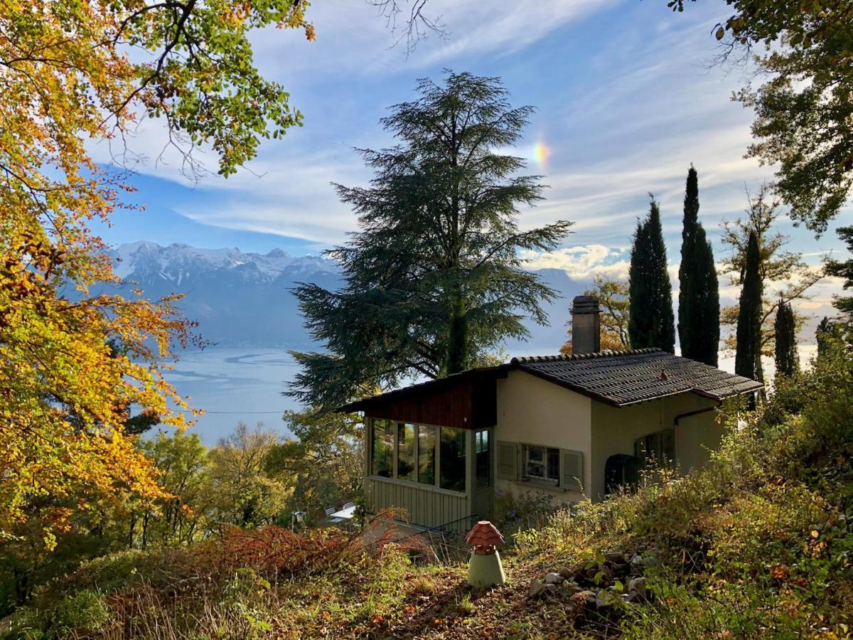 Lovely Villa In Lavaux With Unique View ! Chardonne Zewnętrze zdjęcie