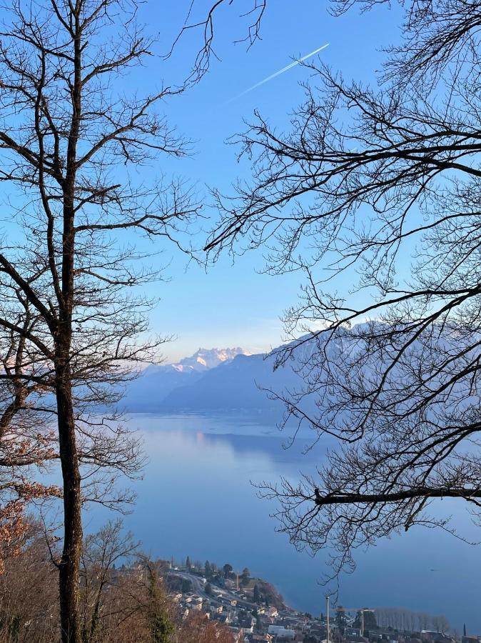 Lovely Villa In Lavaux With Unique View ! Chardonne Zewnętrze zdjęcie