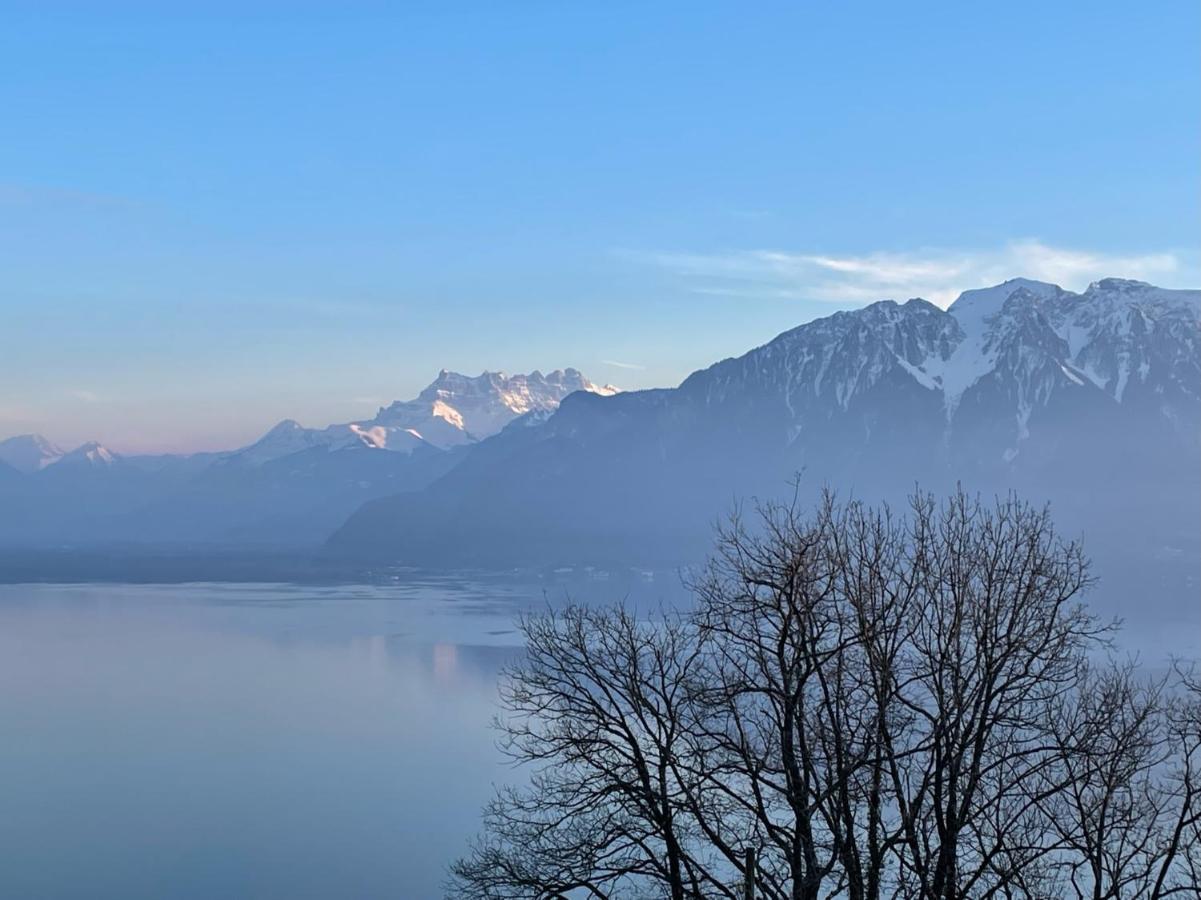 Lovely Villa In Lavaux With Unique View ! Chardonne Zewnętrze zdjęcie